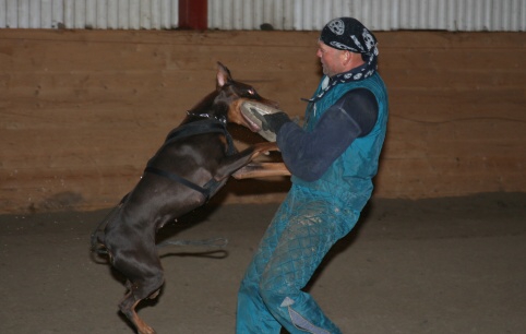 Training in Estonia 3/2007